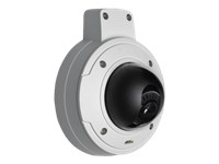AXIS P3343-VE Fixed Dome Network Camera - network camera