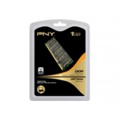 PNY memory - 1 GB - SO DIMM 200-pin - DDR