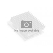 Intel Xeon E5504 / 2 GHz processor