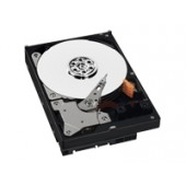 WD AV-GP WD3200AVVS - hard drive - 320 GB - SATA-300